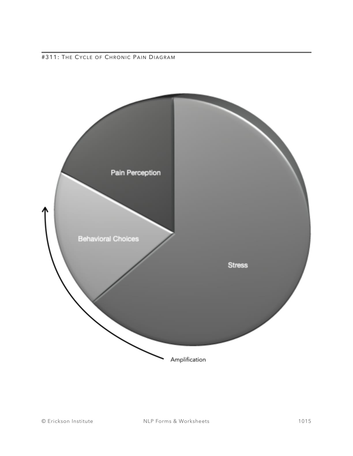 The Cycle of Chronic Pain Diagram - Neuro Linguistic Programming 1
