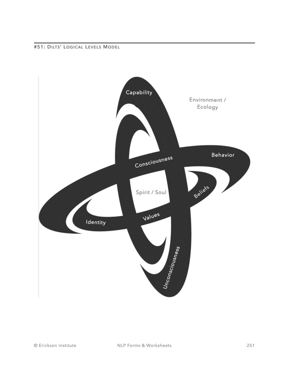 Dilts’ Logical Levels - Neuro Linguistic Programming 1